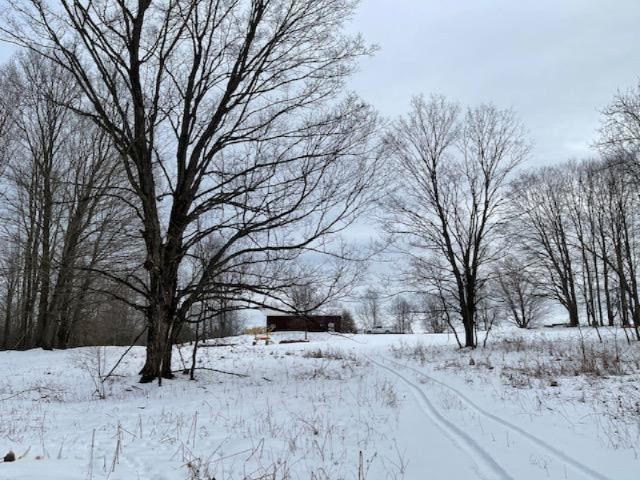 75-acres State Road Chase, MI 49623 - Photo 3 of 42 IMG_2447