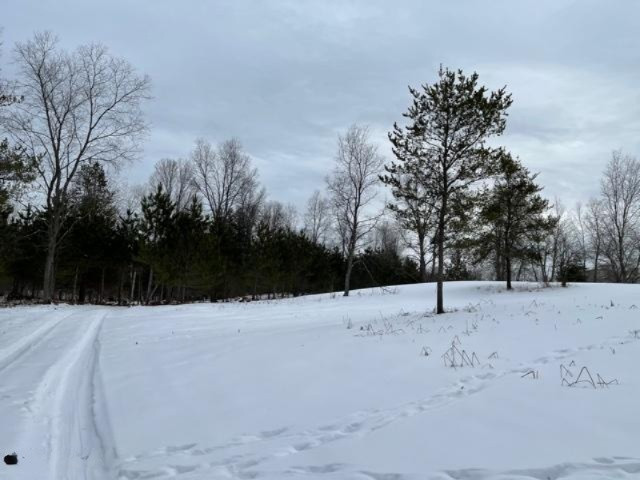 75-acres State Road Chase, MI 49623 - Photo 31 of 42 IMG_2461