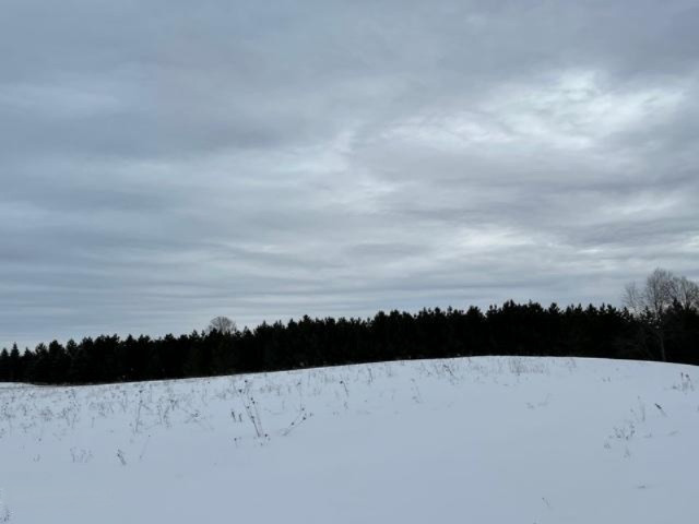 75-acres State Road Chase, MI 49623 - Photo 36 of 42 IMG_2466
