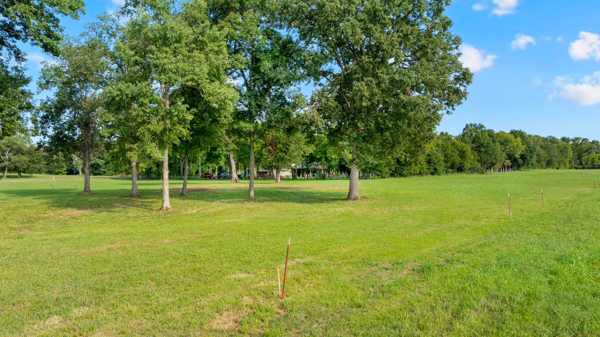 0 Maxwell Chapel Road Unionville, TN 37180 - Photo 11 of 36 Gallery Image 11