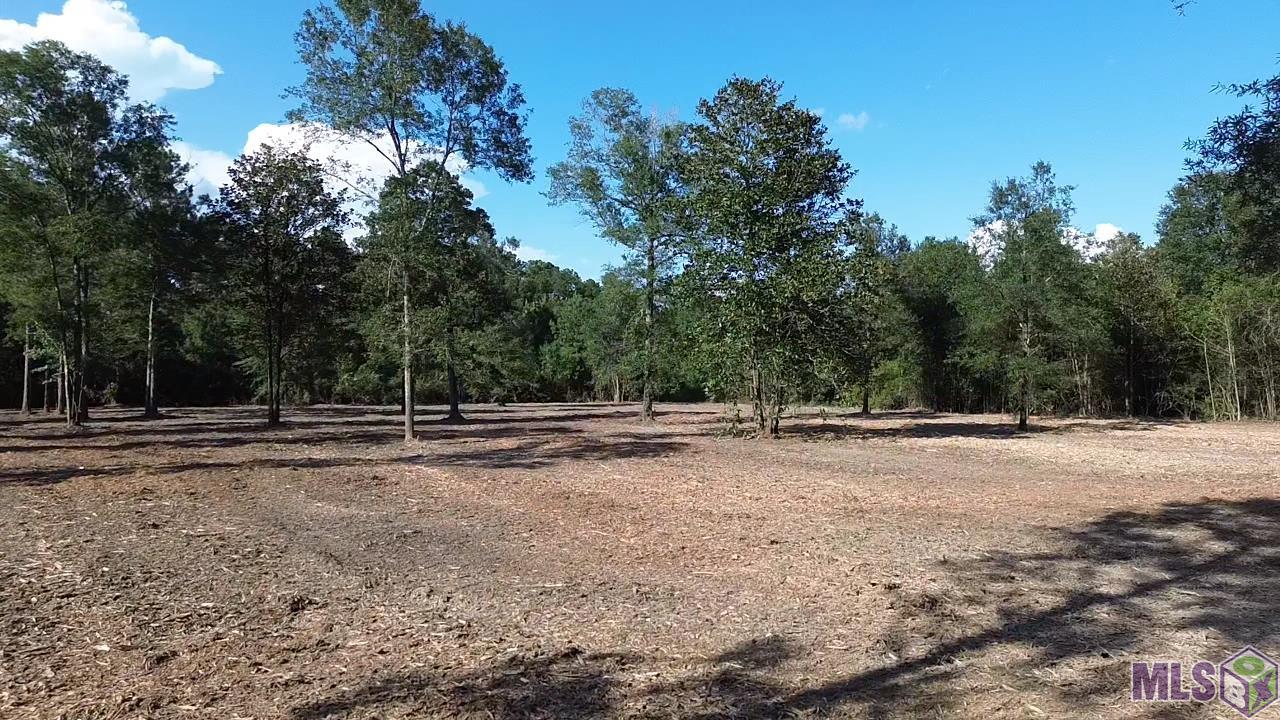 46310 Rufus Bankston Road Hammond, LA 70401 - Photo 9 of 10 Gallery Image 9