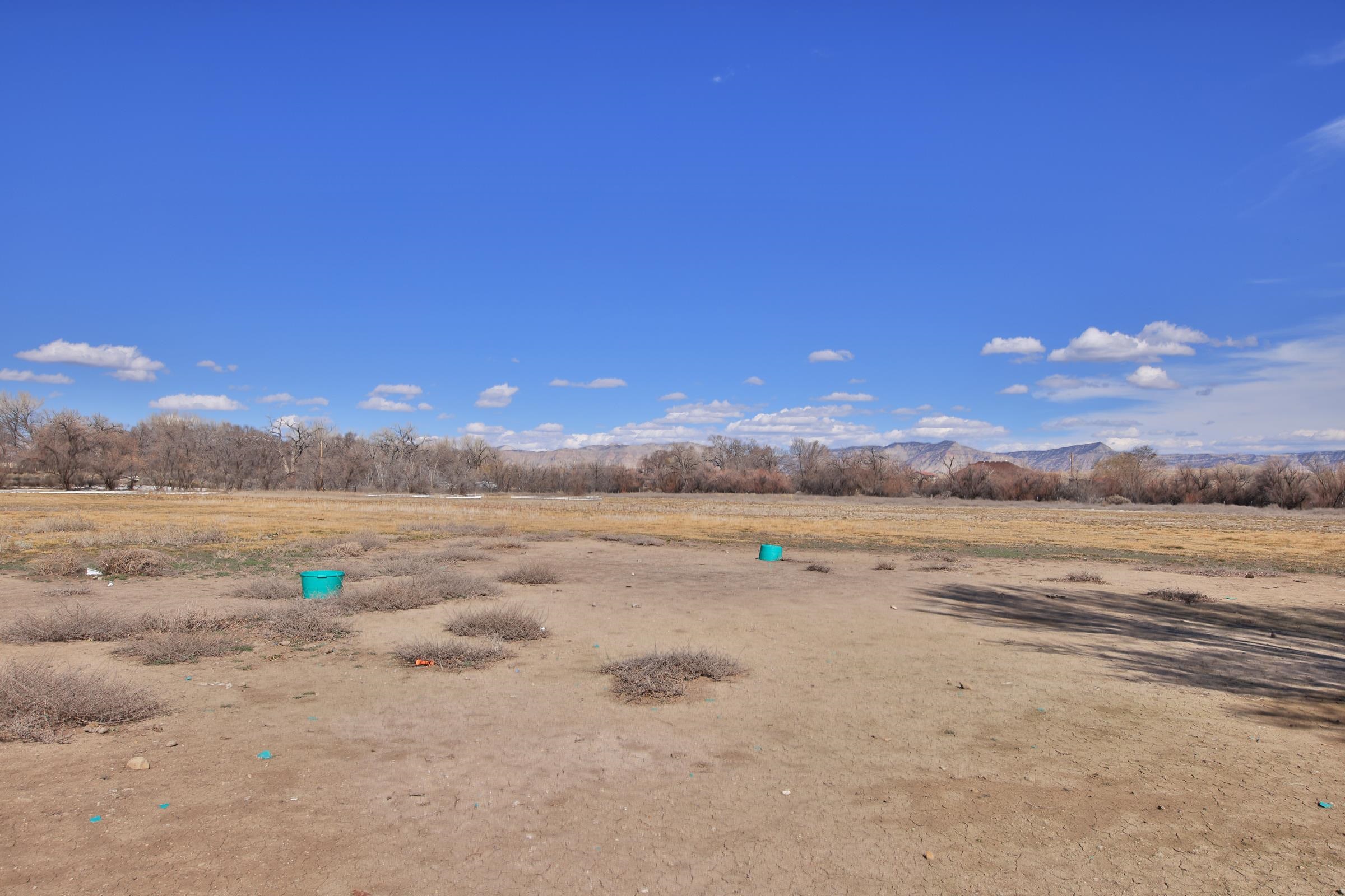 1537 19 Road Fruita, CO 81521 - Photo 24 of 34