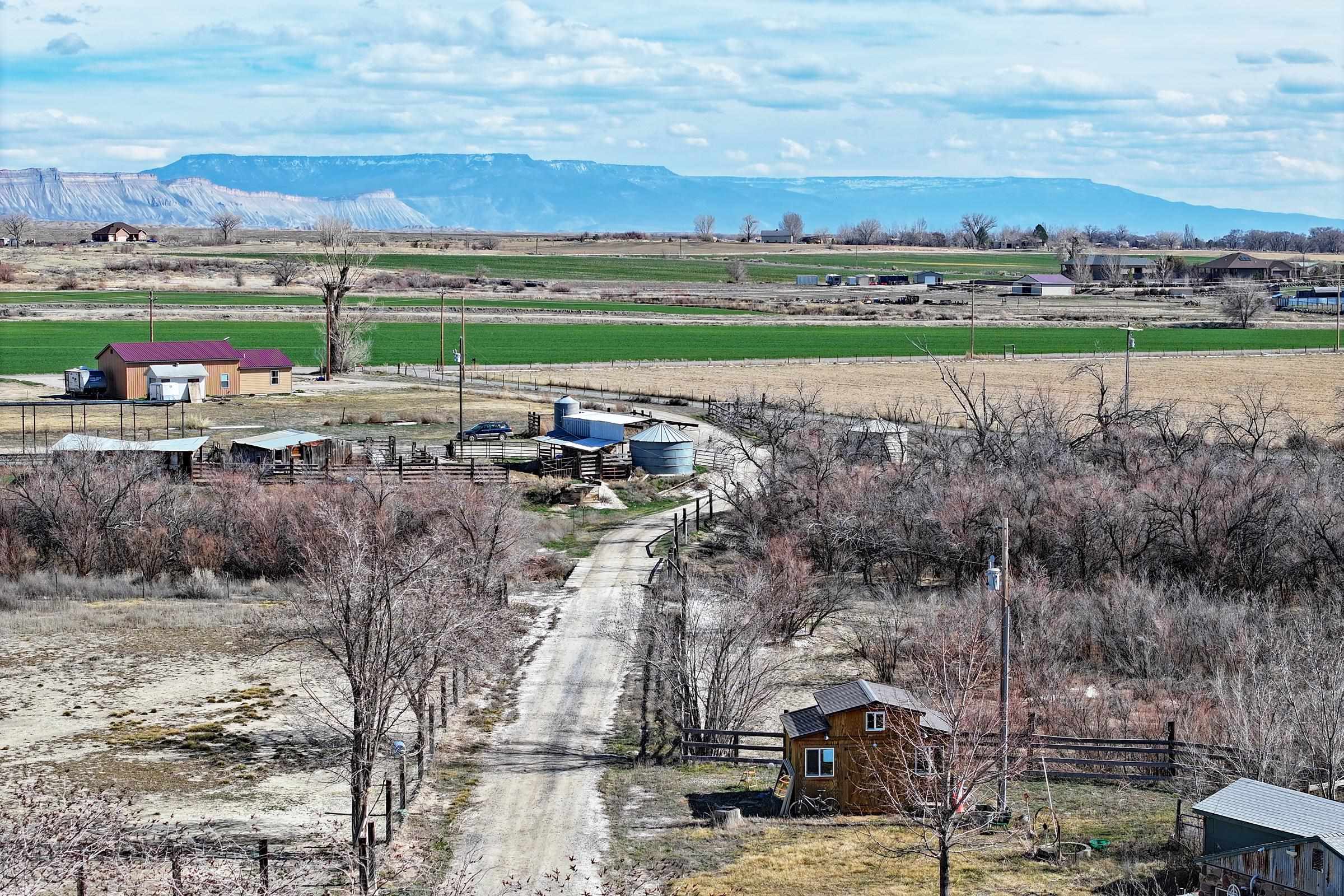 1537 19 Road Fruita, CO 81521 - Photo 25 of 34