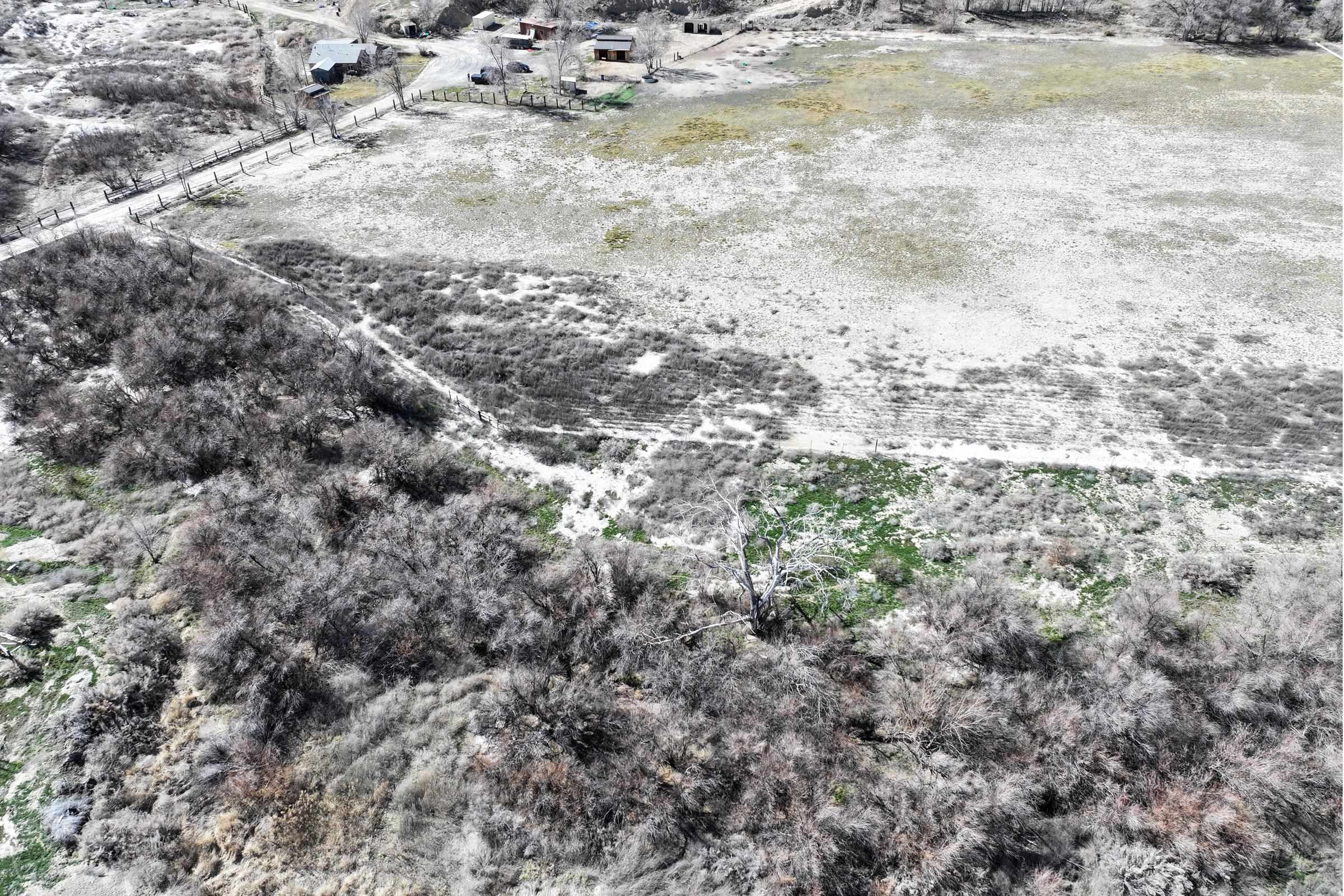 1537 19 Road Fruita, CO 81521 - Photo 30 of 34