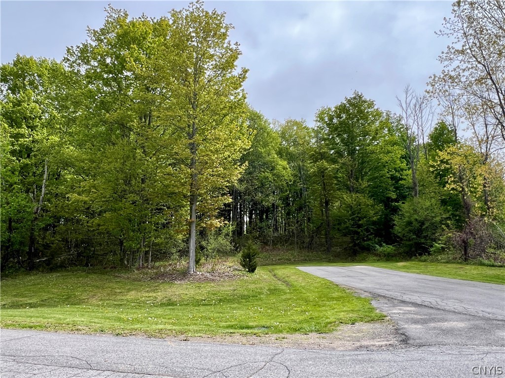 Lot 17 Stone Ridge Drive Oswego, NY 13126 - Photo 2 of 9