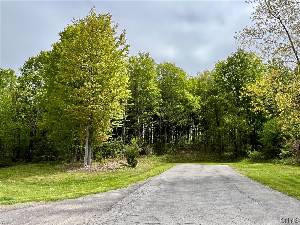 Lot 17 Stone Ridge Drive Oswego, NY 13126 - Photo 4 of 9