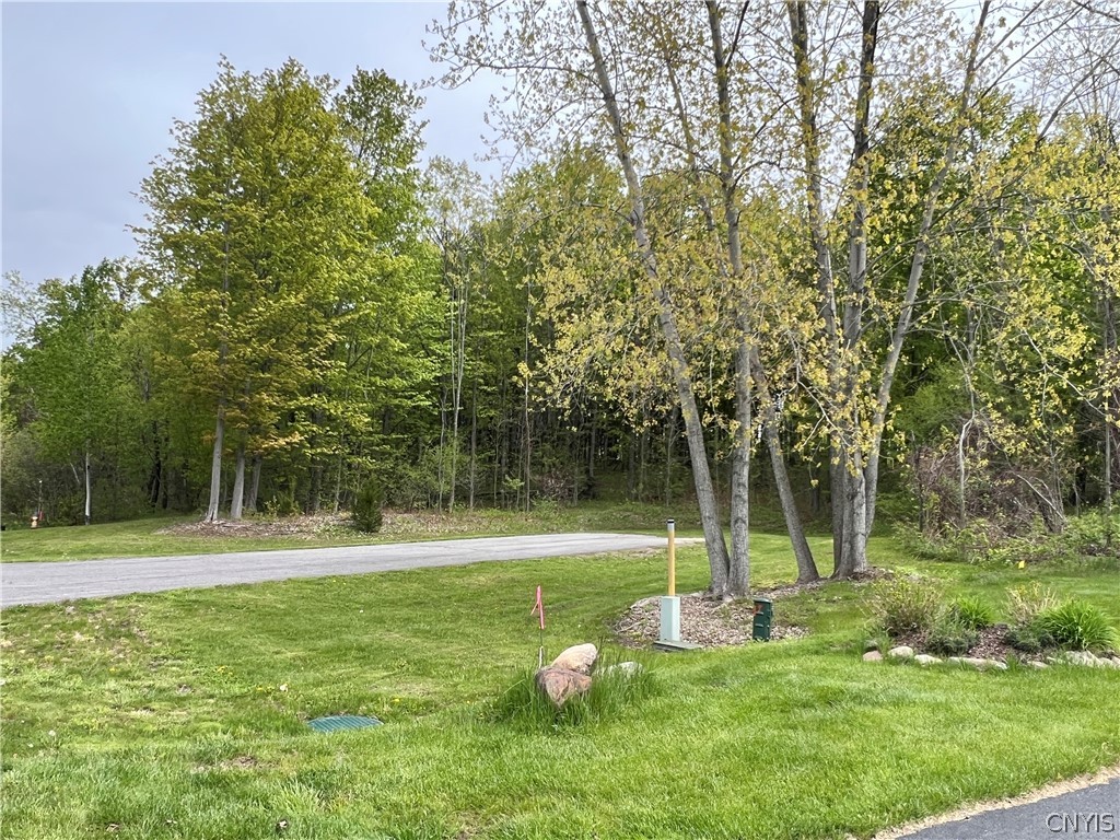 Lot 17 Stone Ridge Drive Oswego, NY 13126 - Photo 6 of 9