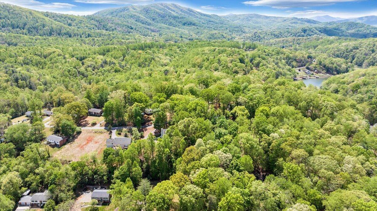 159 Lakeshore Terrace Road Hardy, VA 24101 - Photo 73 of 90 Aerial