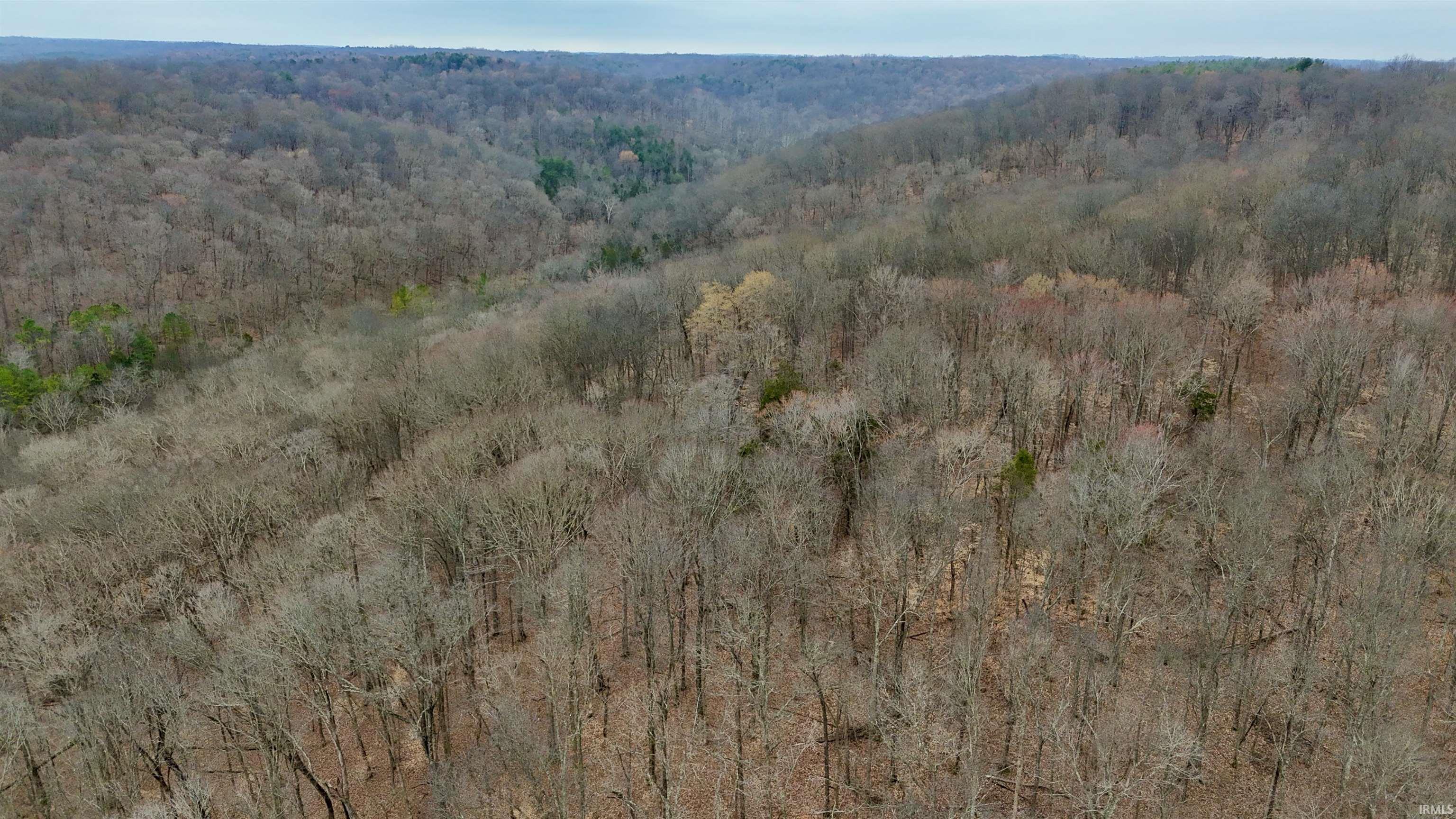 0 East Pilot Knob Road Milltown, IN 47145 - Photo 13 of 28