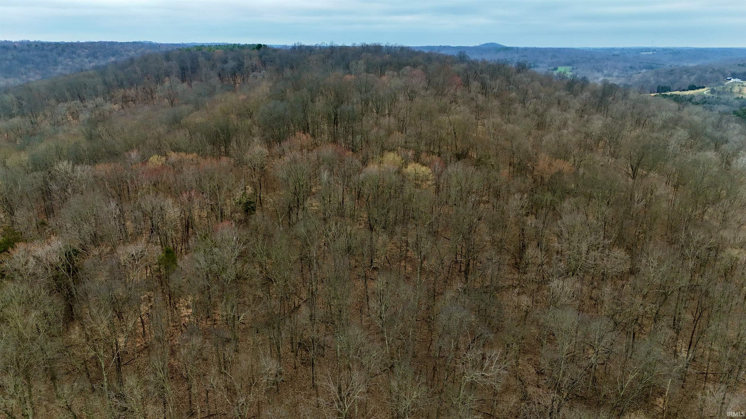 0 East Pilot Knob Road Milltown, IN 47145 - Photo 14 of 28