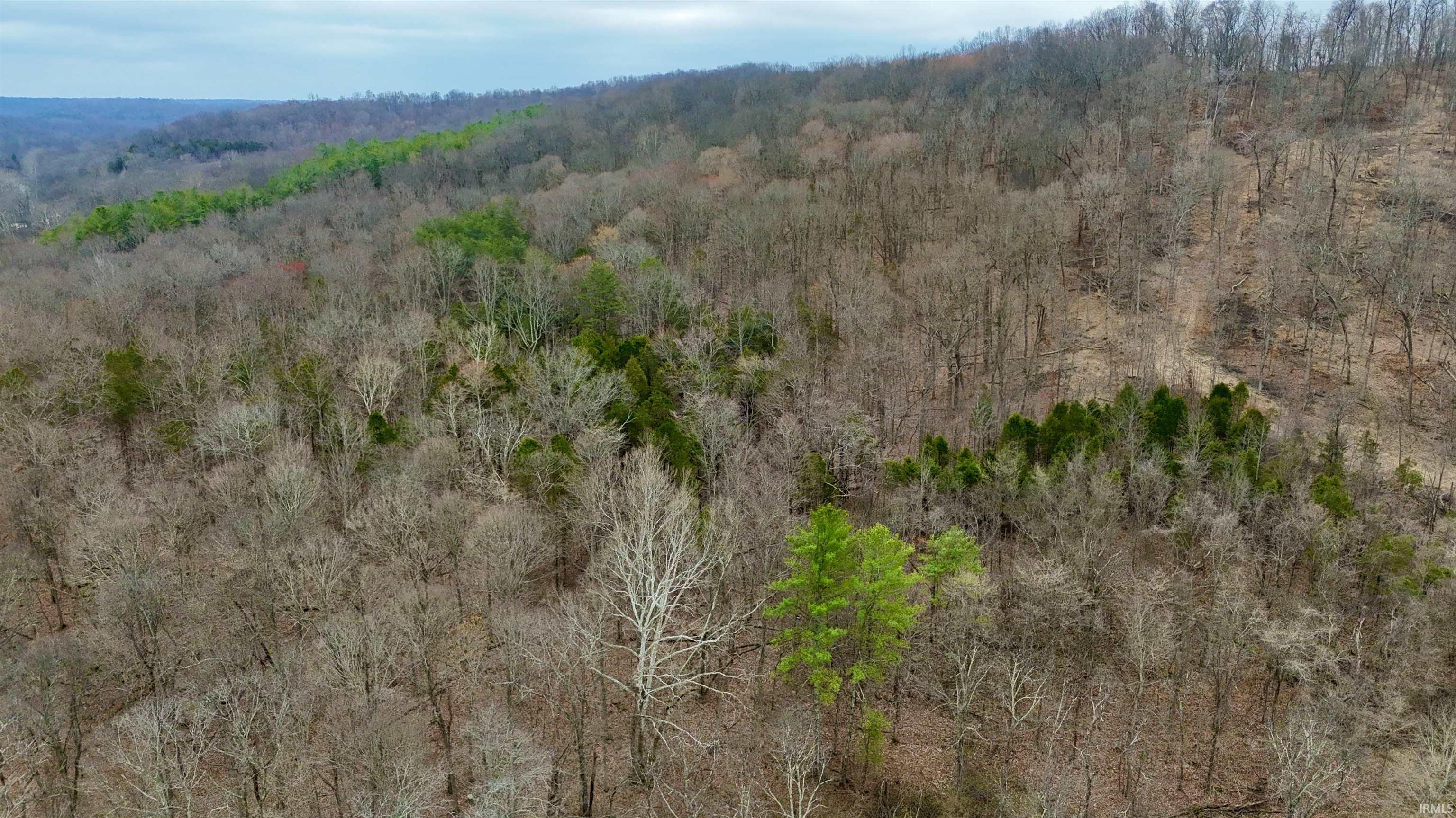 0 East Pilot Knob Road Milltown, IN 47145 - Photo 5 of 28