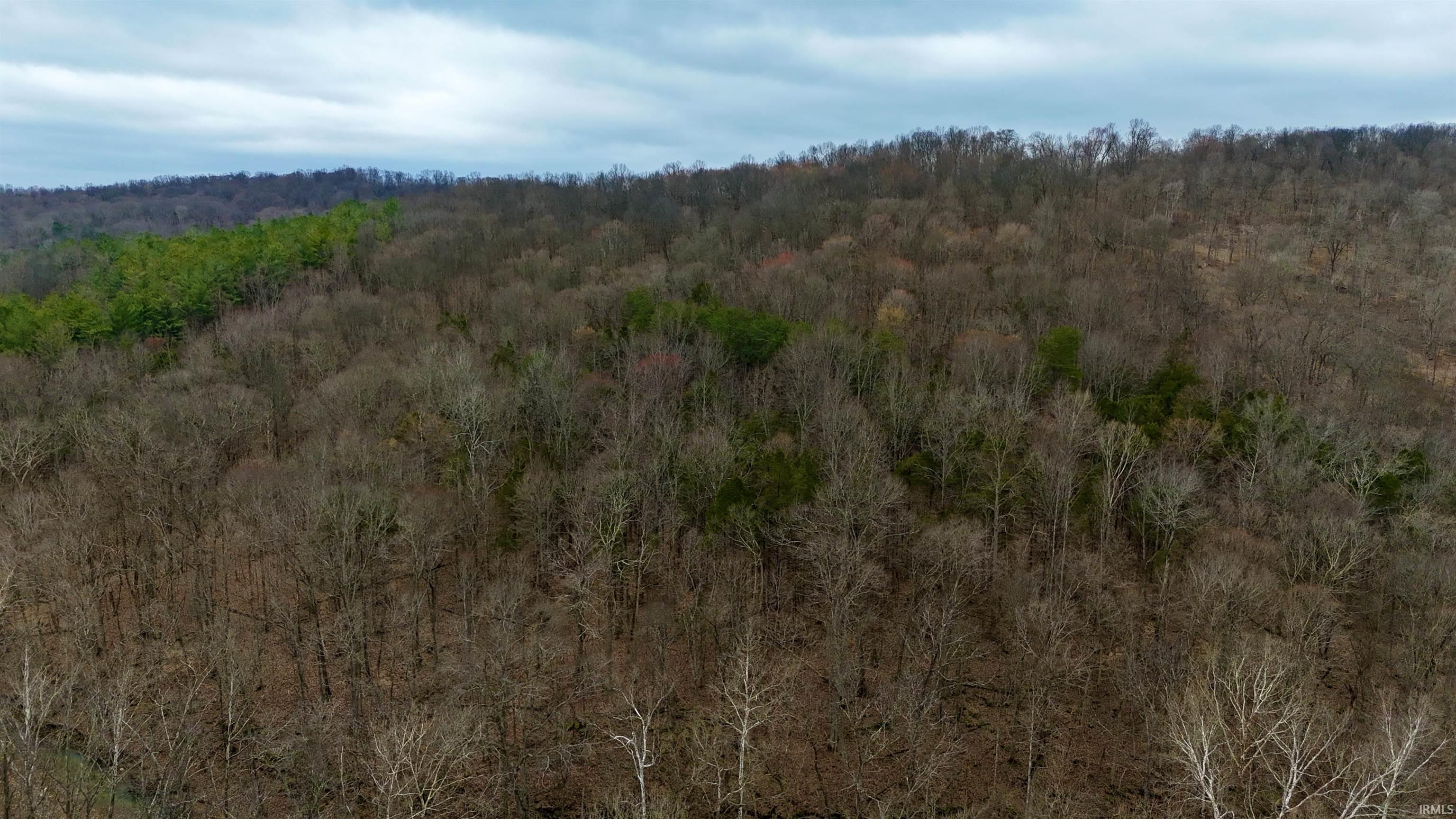 0 East Pilot Knob Road Milltown, IN 47145 - Photo 10 of 28