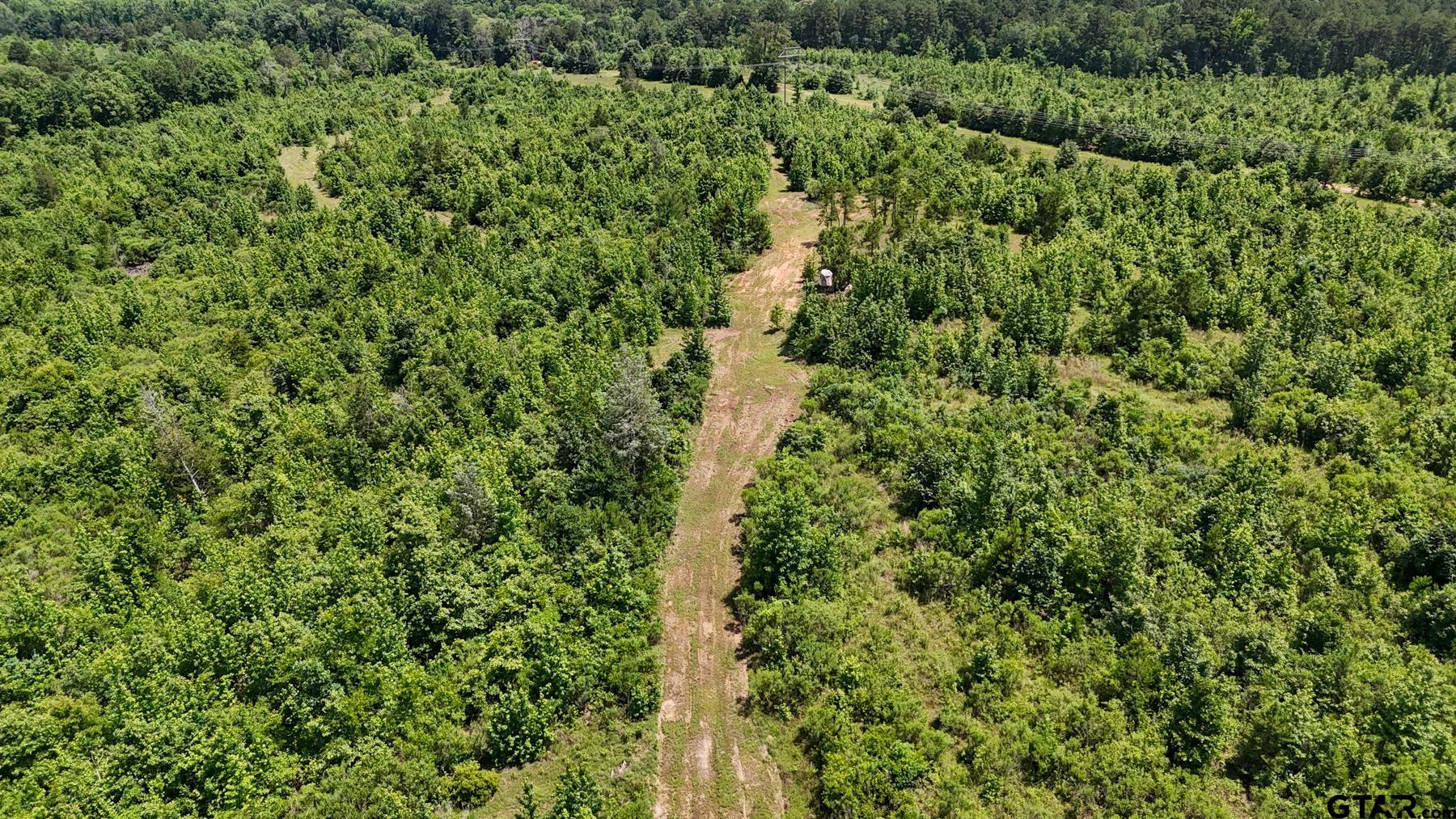 0 Avinger Cut Off Road Avinger, TX 75630 - Photo 19 of 48