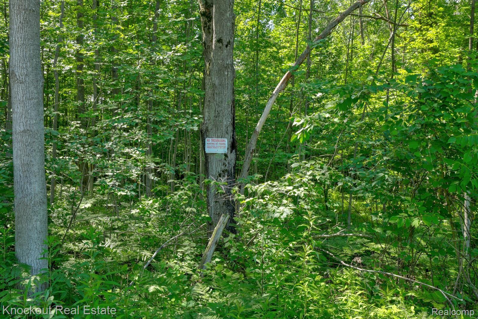 1000 West Kitchen Road Rhodes, MI 48652 - Photo 29 of 34 Kitchen Lots Bay County-26.jpg