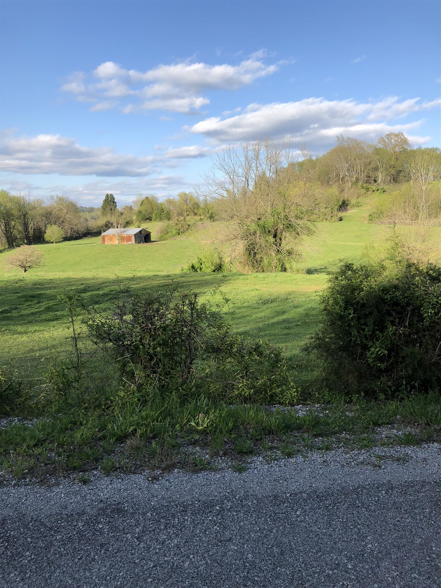 1 Mack Benderman Road Culleoka, TN 38451 - Photo 8 of 9 Gallery Image 8