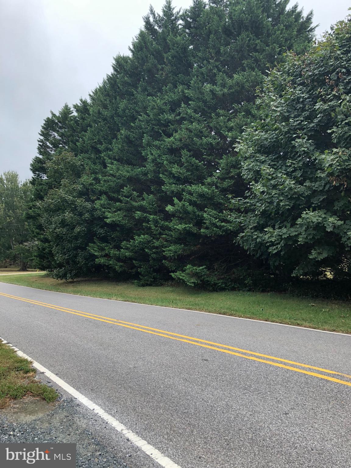 1049 Lower Pindell Road Lothian, MD 20711 - Photo 3 of 3 Road View