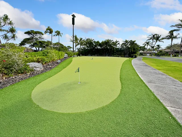 a view of a swimming pool with a yard and plants