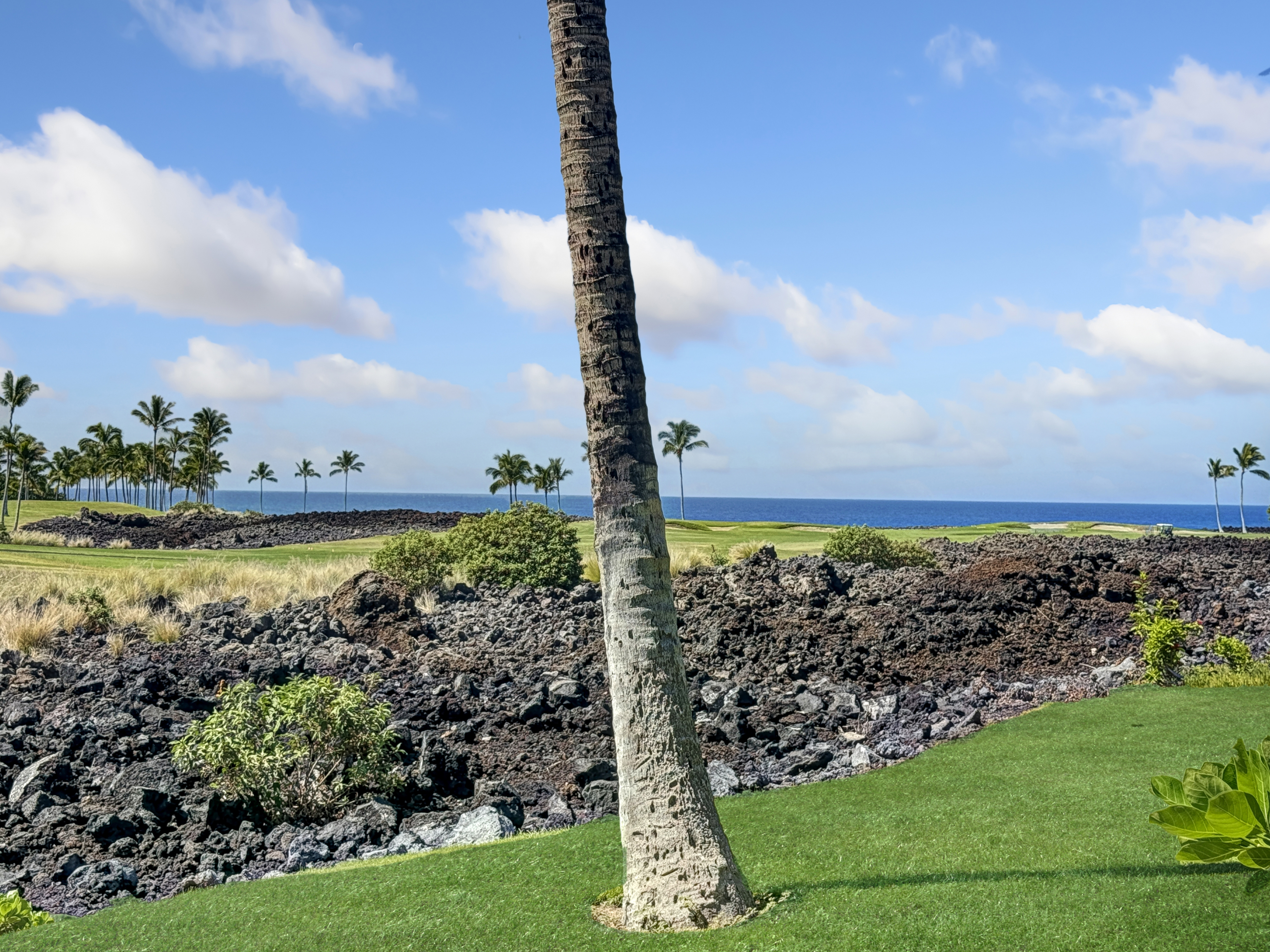 69-1033 Nawahine Place, Unit 9B Waikoloa, HI 96738 - Photo 4 of 24 a view of a city