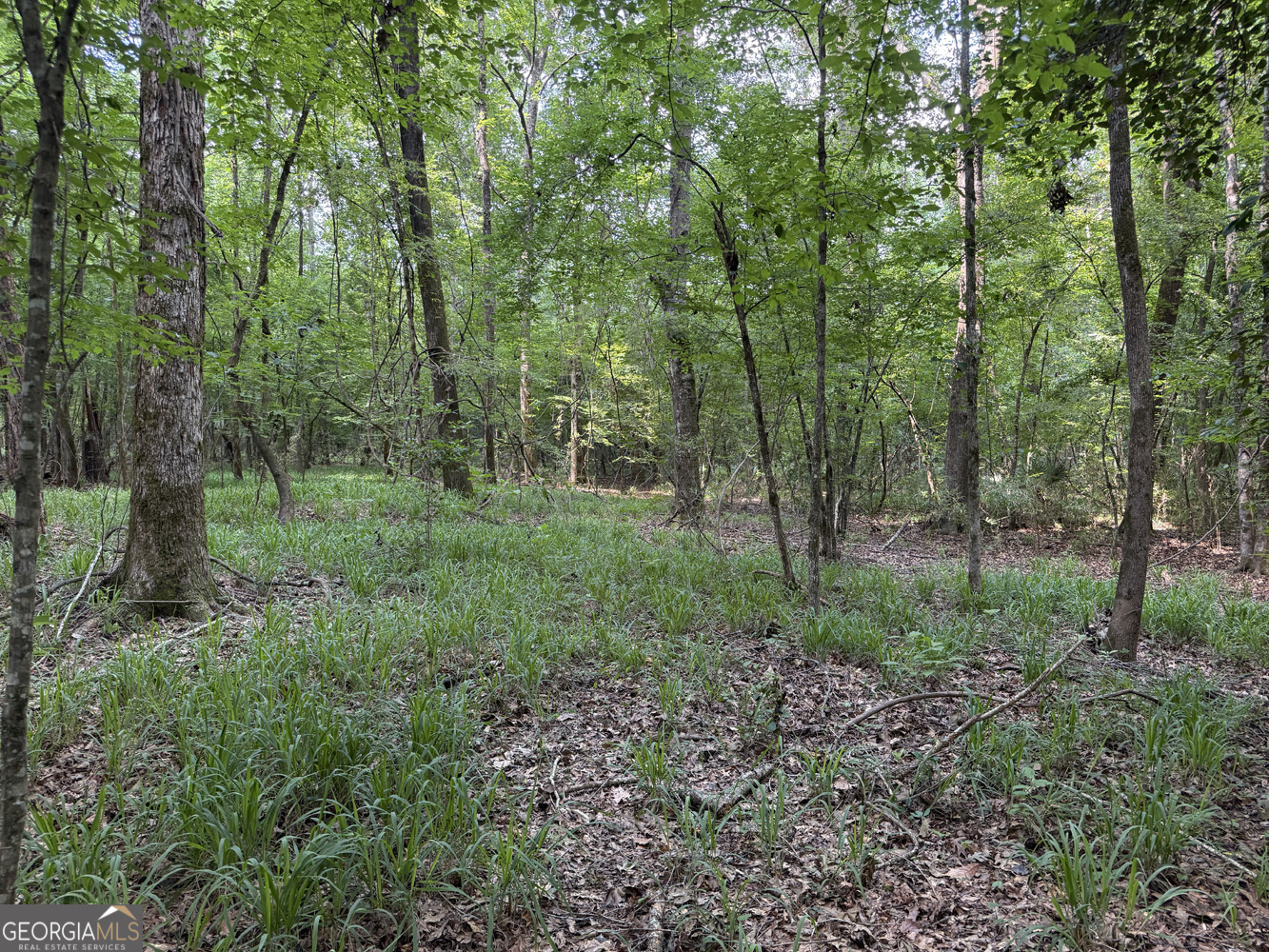 651 Branan Road Toomsboro, GA 31090 - Photo 7 of 53