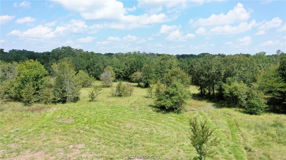 9960 Goose Prairie Road Midway, TX 75852 - Photo 25 of 32
