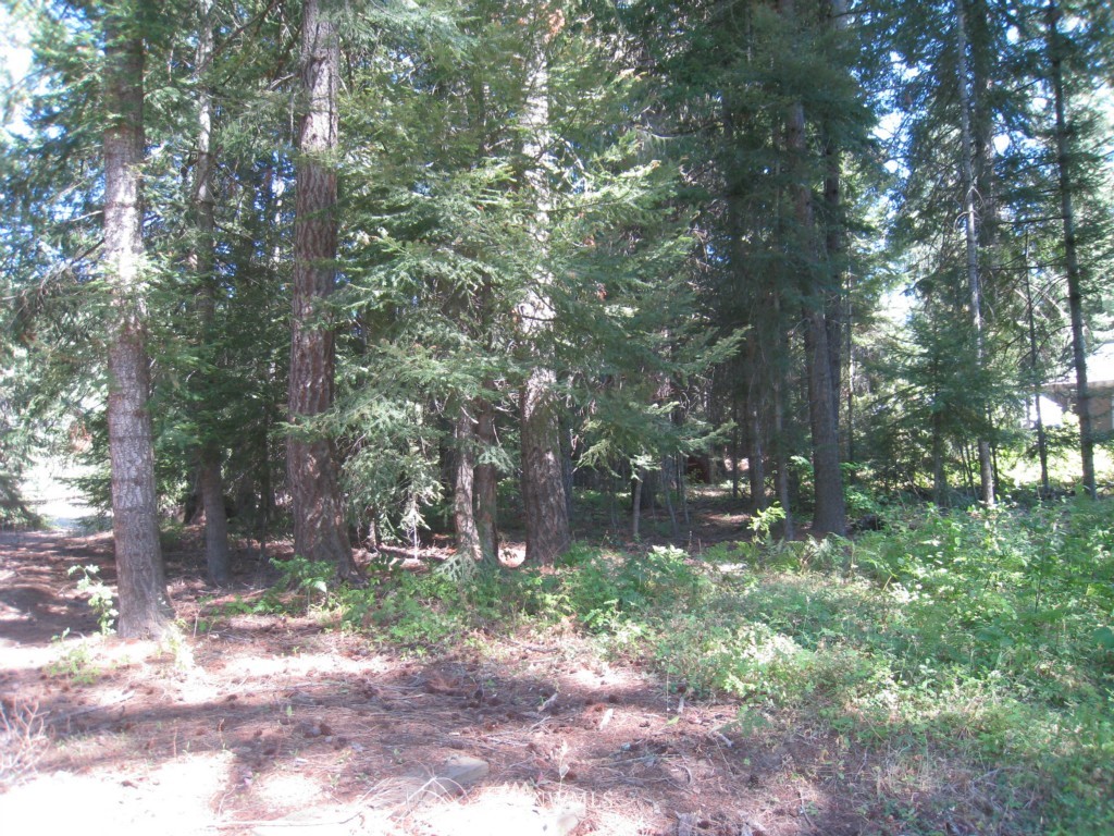 321 Bunker Road Ronald, WA 98940 - Photo 11 of 13 Gallery Image 11