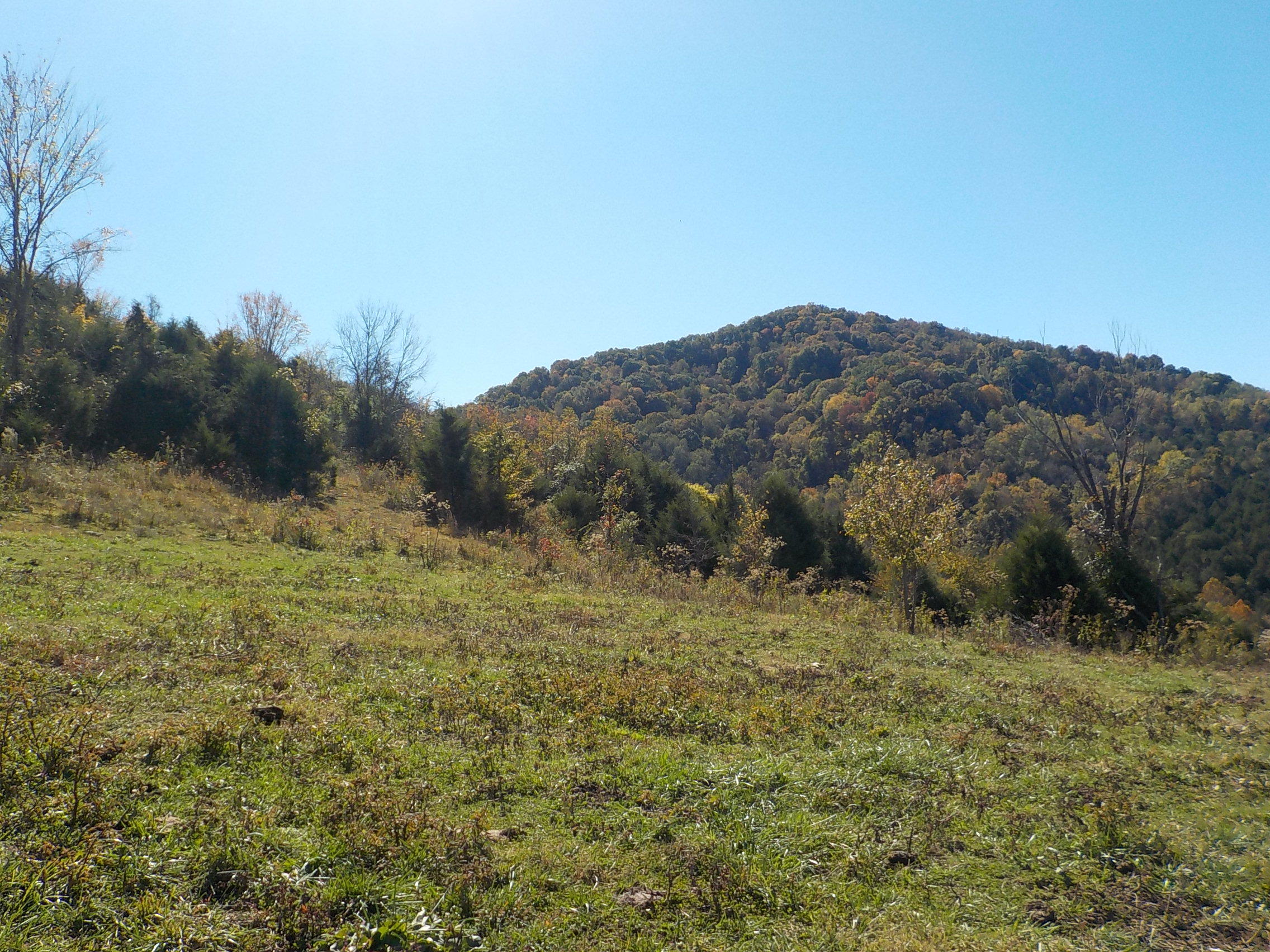 201 Riley Drive Tazewell, TN 37879 - Photo 1 of 27 027