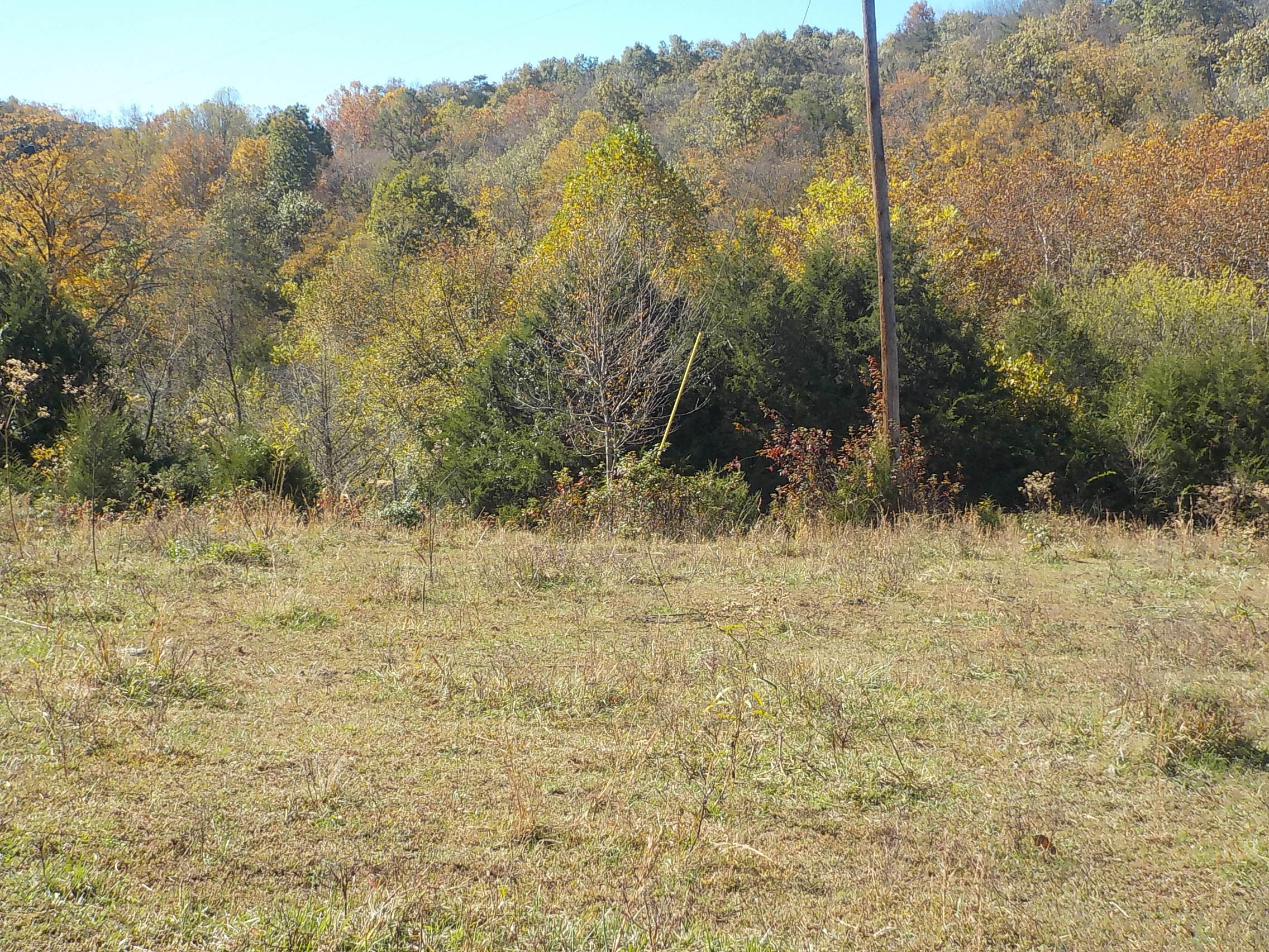 201 Riley Drive Tazewell, TN 37879 - Photo 11 of 27 018