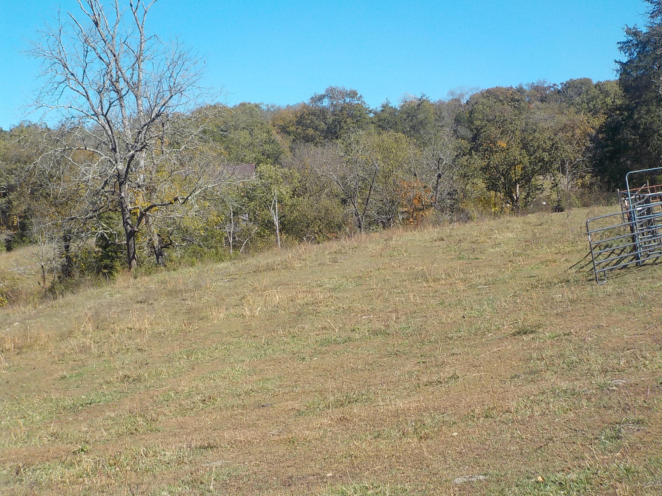 201 Riley Drive Tazewell, TN 37879 - Photo 12 of 27 017