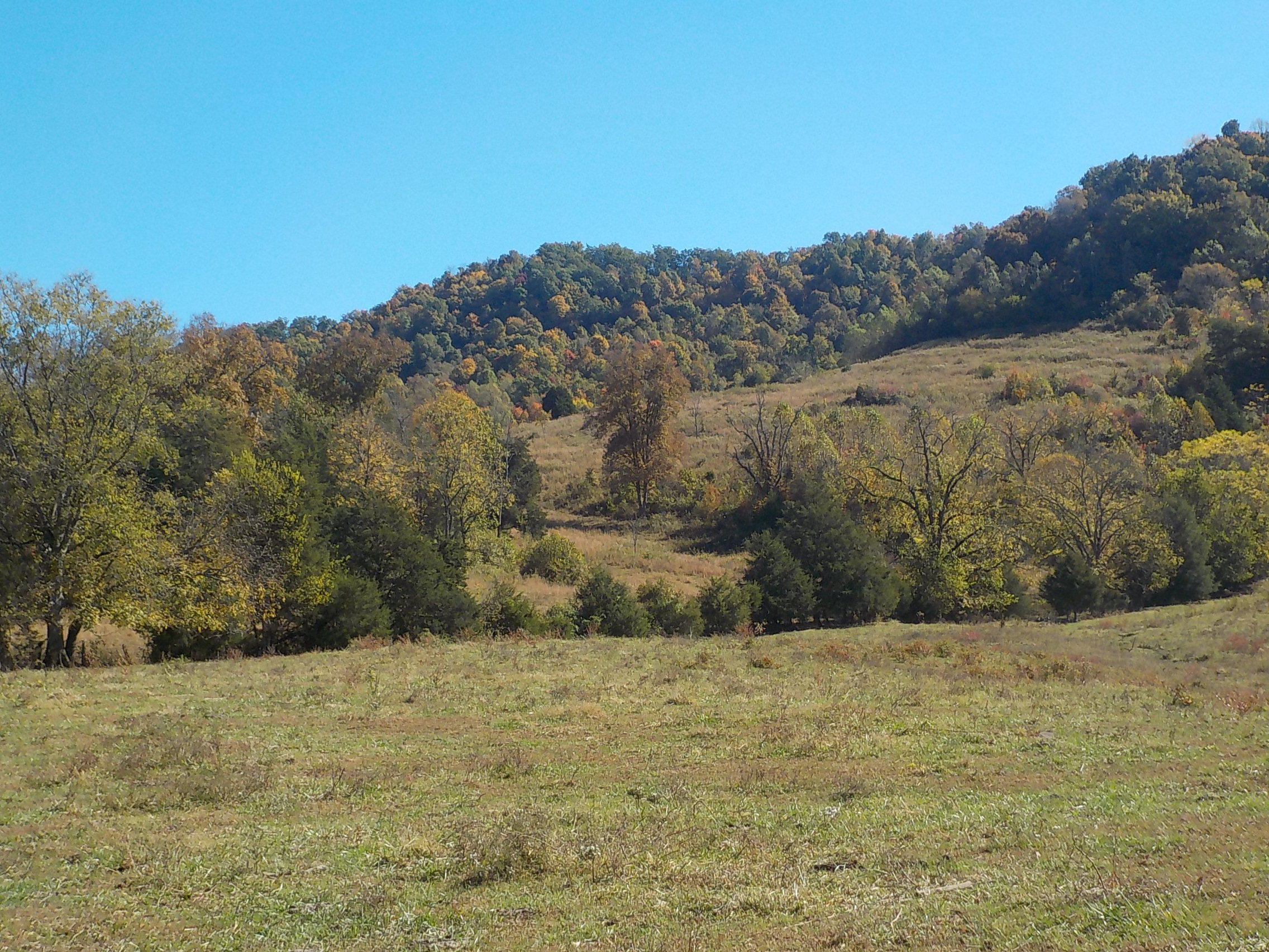 201 Riley Drive Tazewell, TN 37879 - Photo 13 of 27 016