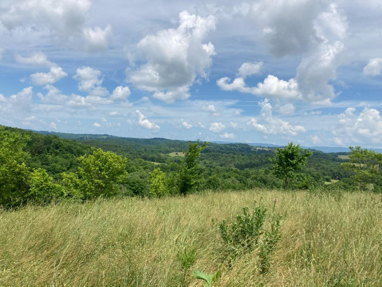 201 Riley Drive Tazewell, TN 37879 - Photo 21 of 27 72582