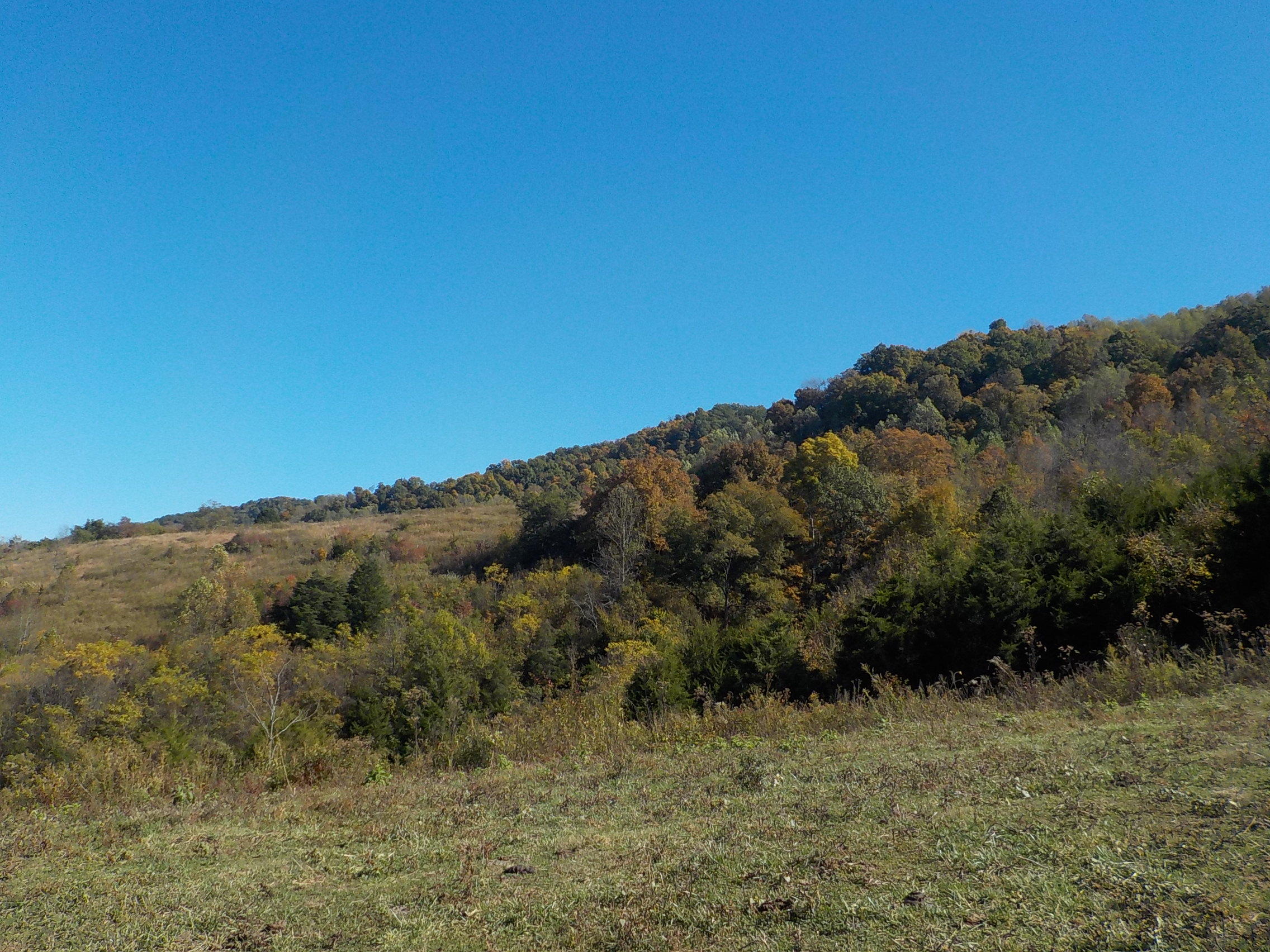201 Riley Drive Tazewell, TN 37879 - Photo 4 of 27 025