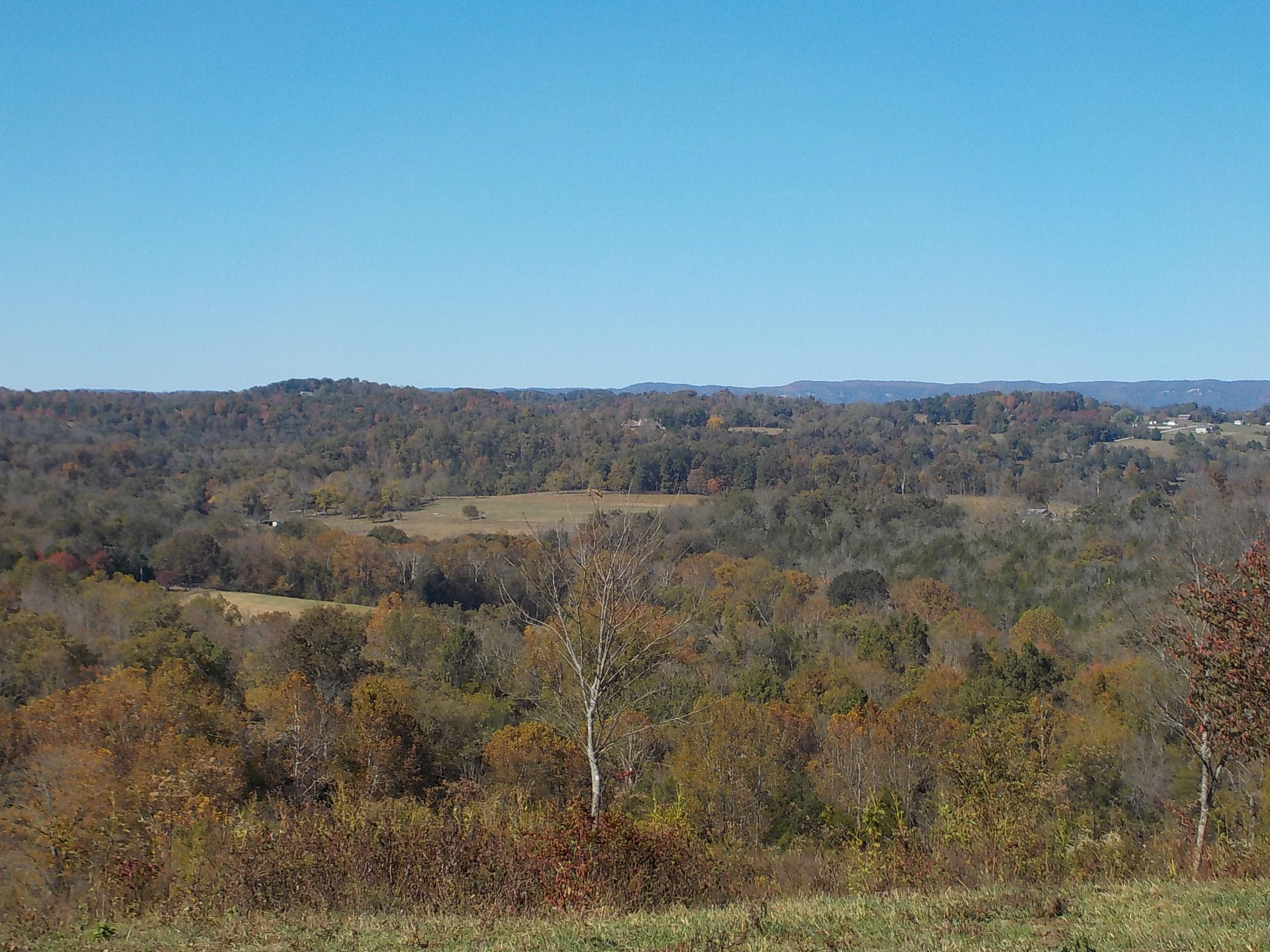 201 Riley Drive Tazewell, TN 37879 - Photo 8 of 27 021