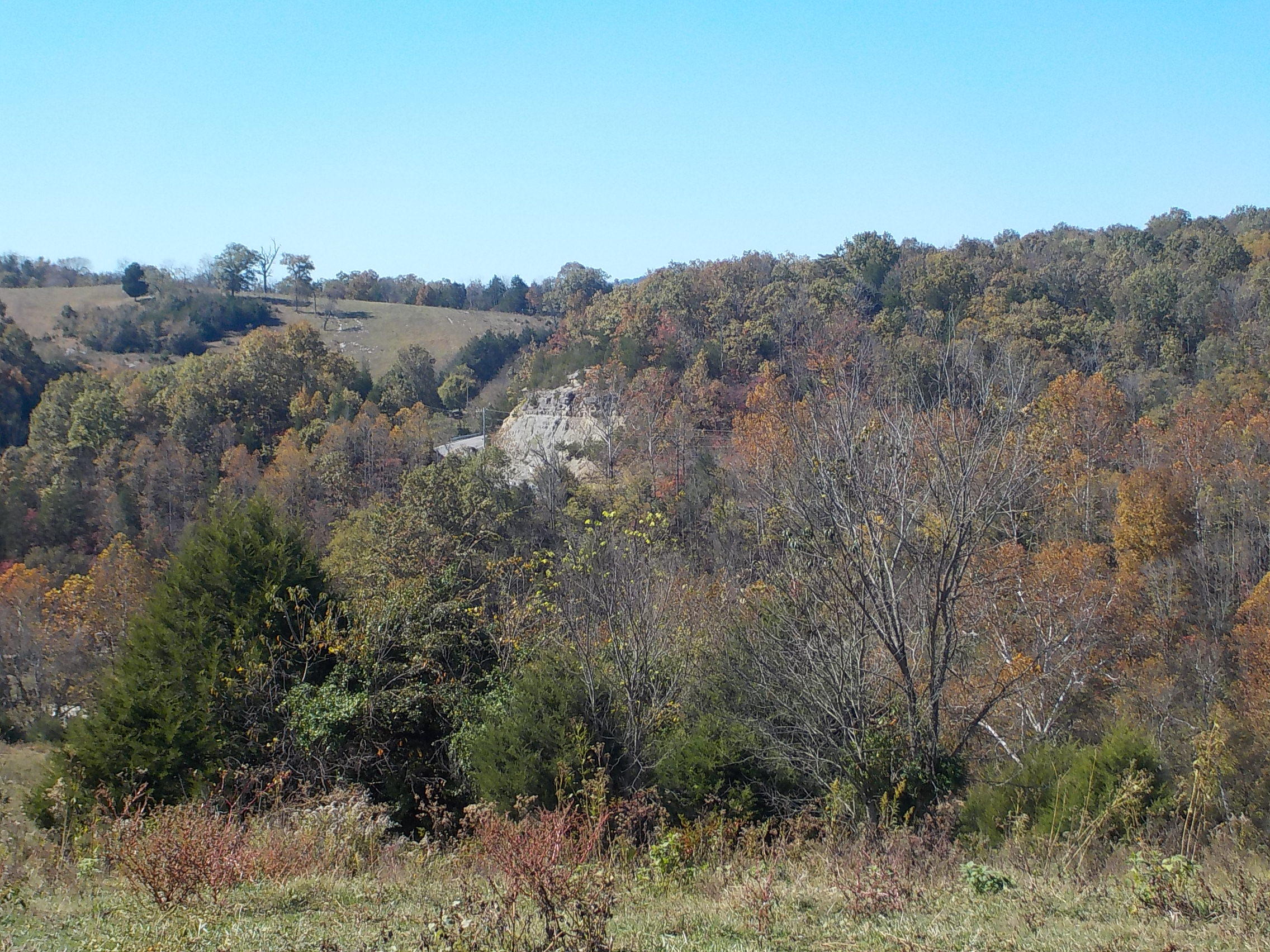 201 Riley Drive Tazewell, TN 37879 - Photo 9 of 27 020