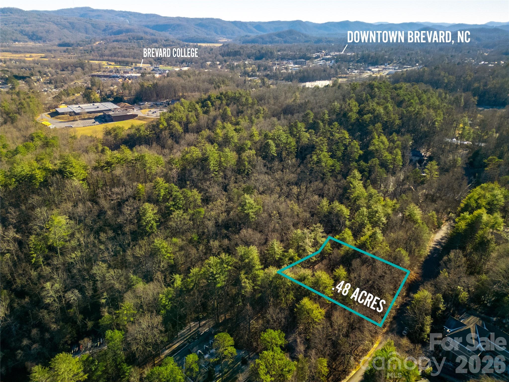 L11 Deerlake Road, Unit 11 Brevard, NC 28712 - Photo 11 of 15
