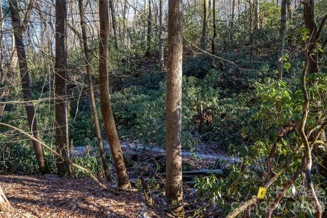 $85,000 | L11 Deerlake Road, Unit 11, Brevard, NC 28712