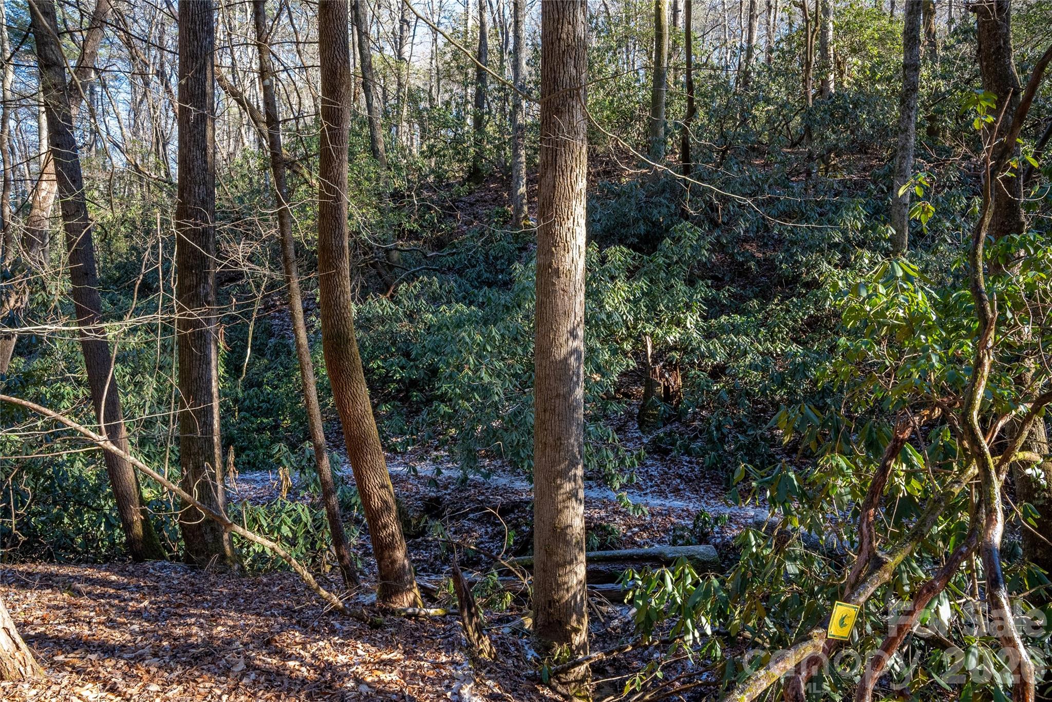 L11 Deerlake Road, Unit 11 Brevard, NC 28712 - Photo 14 of 15