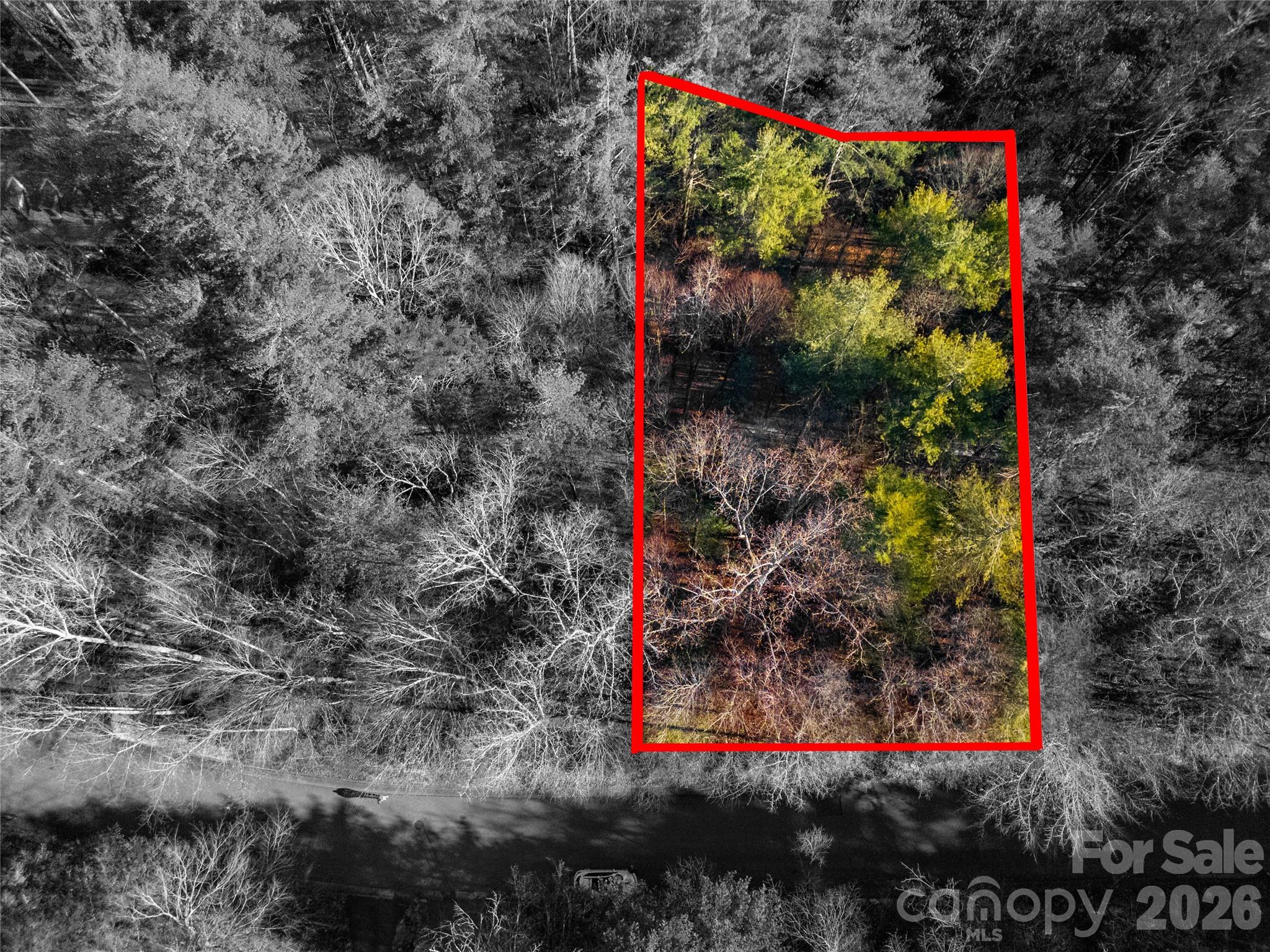 L11 Deerlake Road, Unit 11 Brevard, NC 28712 - Photo 15 of 15