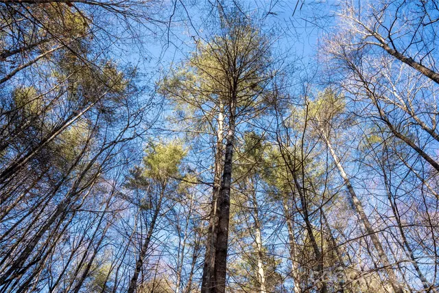 $85,000 | L11 Deerlake Road, Unit 11, Brevard, NC 28712