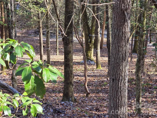 $85,000 | L11 Deerlake Road, Unit 11, Brevard, NC 28712