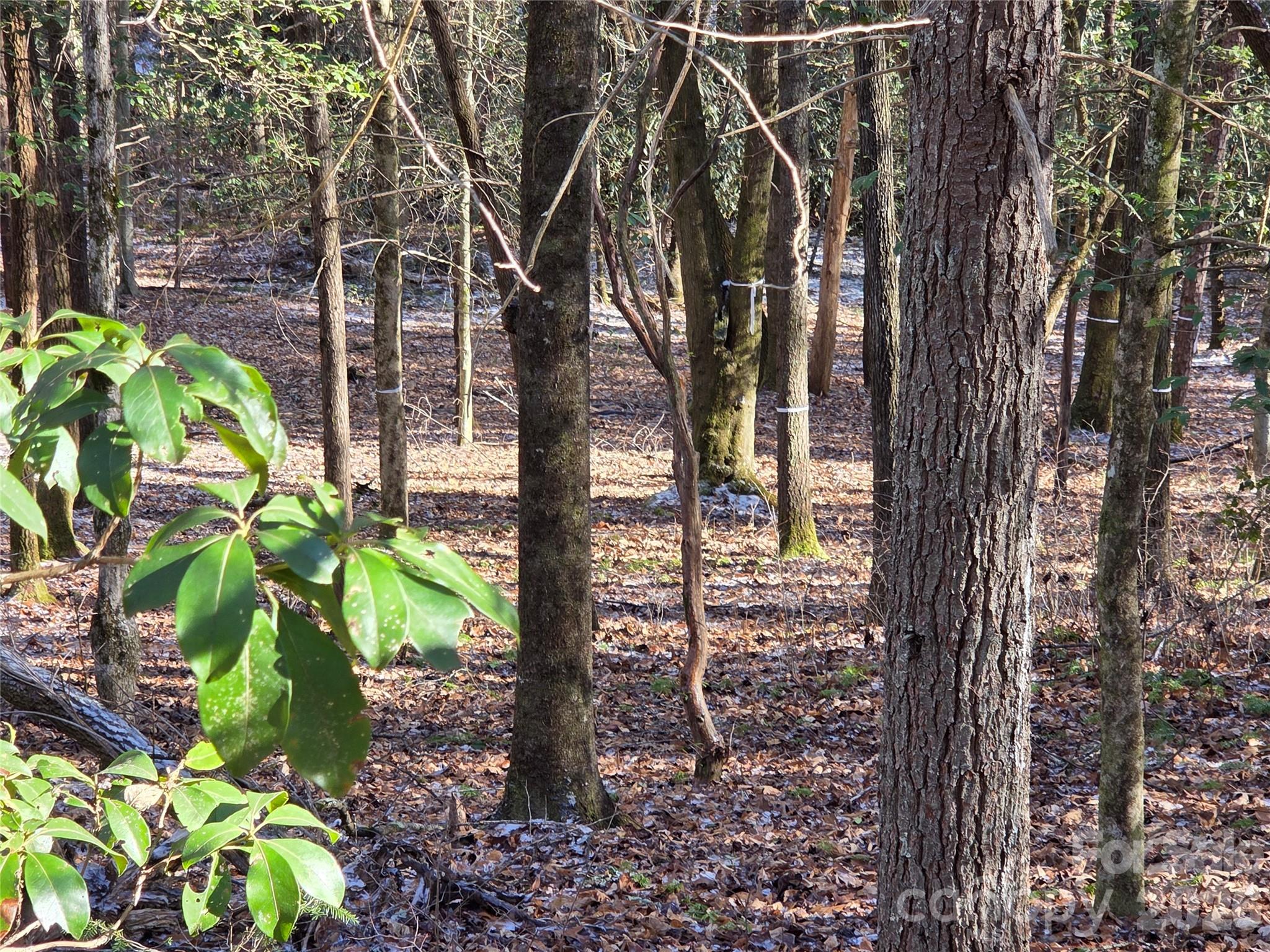 L11 Deerlake Road, Unit 11 Brevard, NC 28712 - Photo 3 of 15