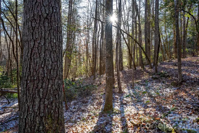 $85,000 | L11 Deerlake Road, Unit 11, Brevard, NC 28712