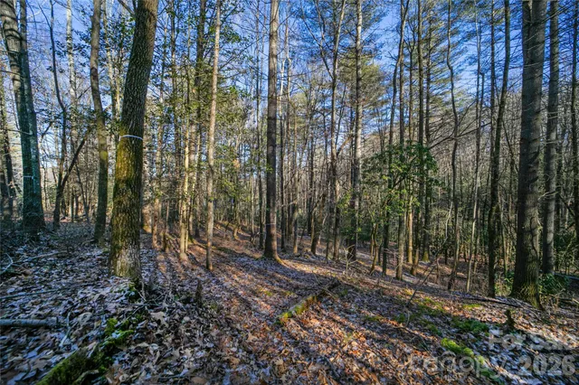 $85,000 | L11 Deerlake Road, Unit 11, Brevard, NC 28712