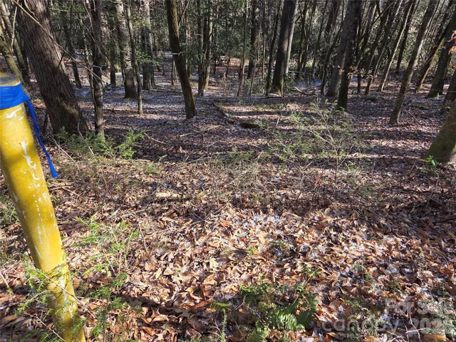 $85,000 | L11 Deerlake Road, Unit 11, Brevard, NC 28712