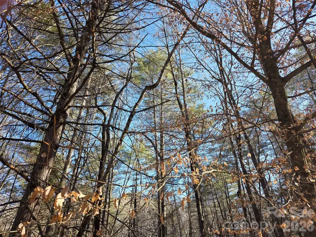 $85,000 | L11 Deerlake Road, Unit 11, Brevard, NC 28712