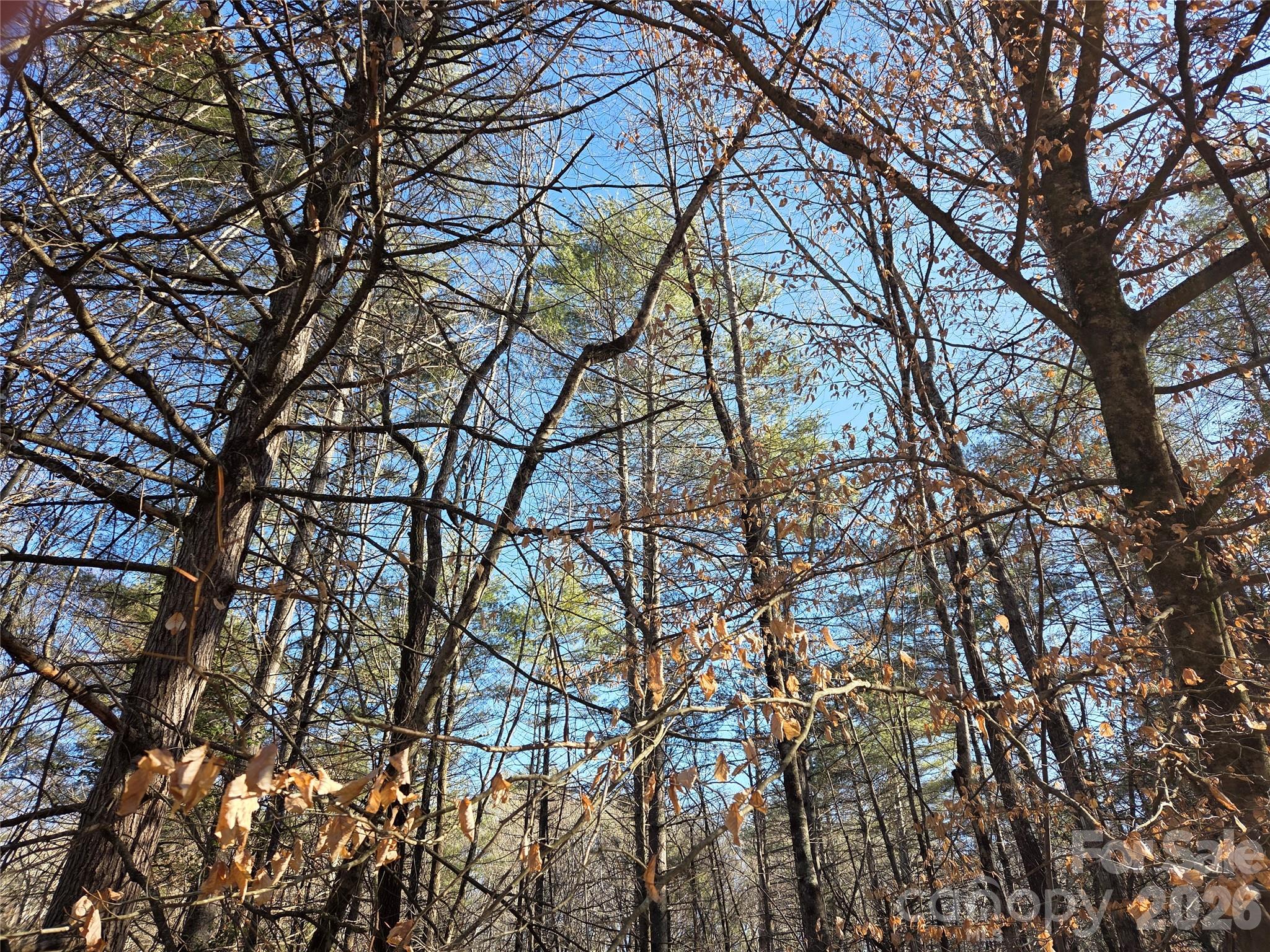 L11 Deerlake Road, Unit 11 Brevard, NC 28712 - Photo 7 of 15