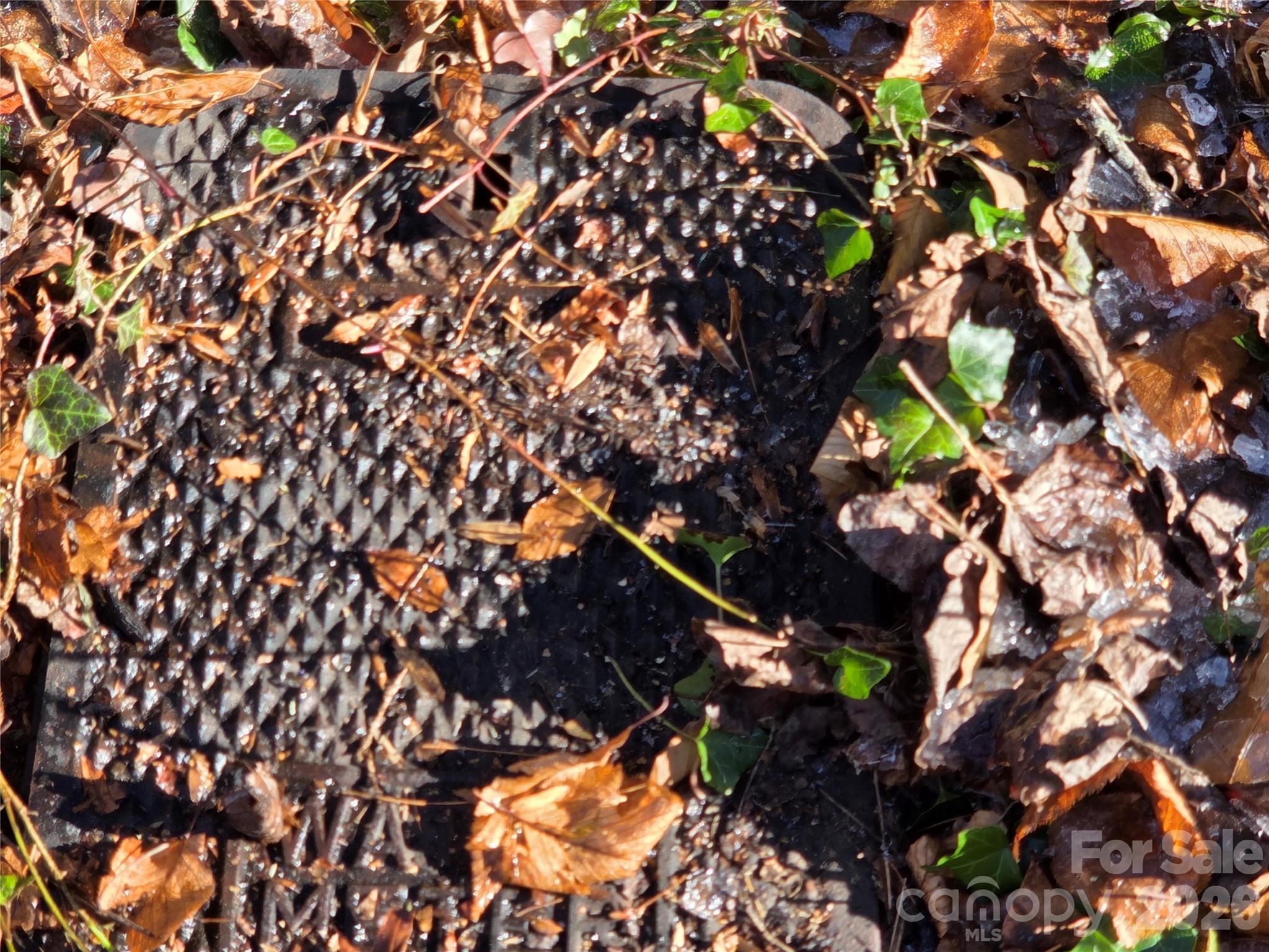 L11 Deerlake Road, Unit 11 Brevard, NC 28712 - Photo 8 of 15