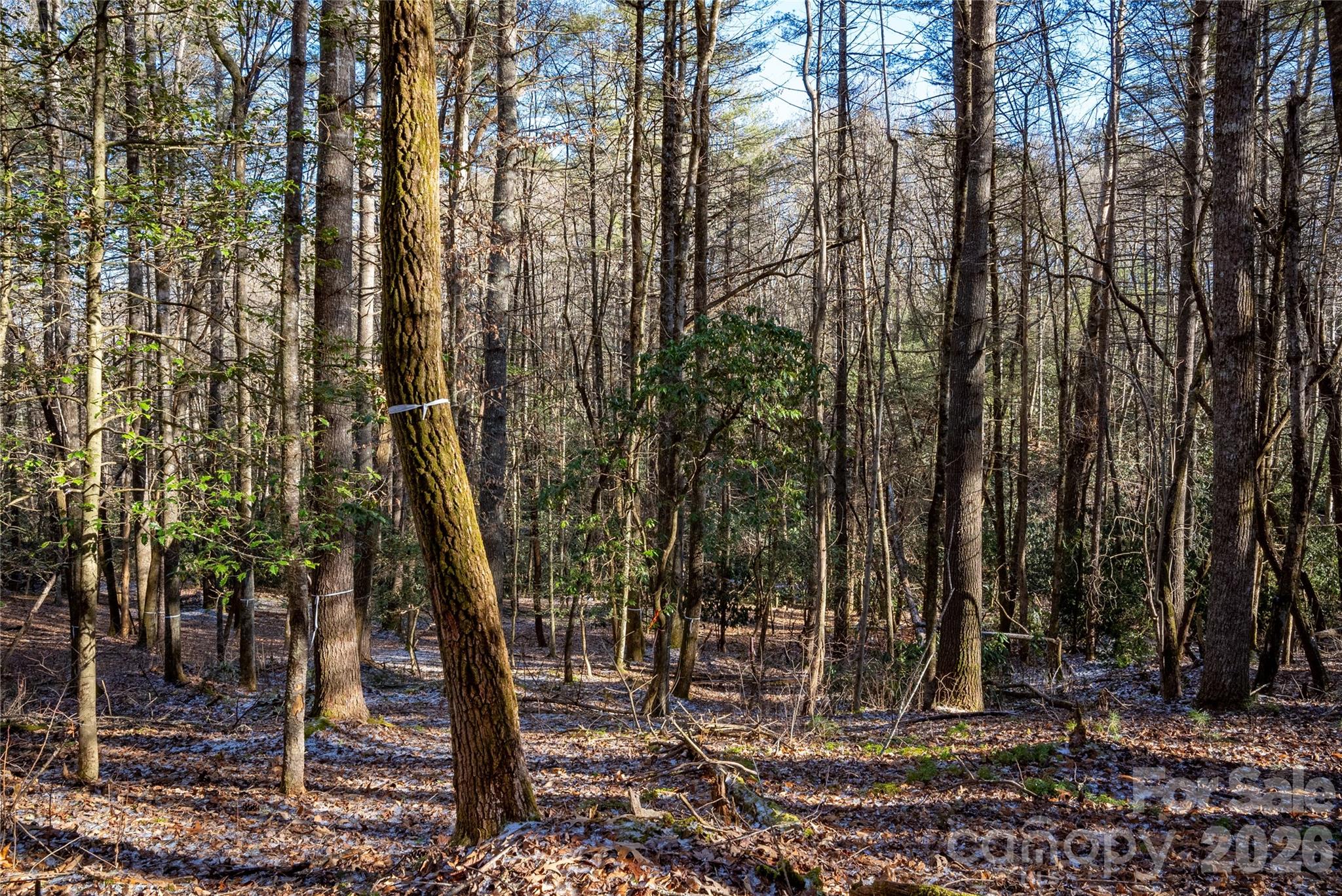 L11 Deerlake Road, Unit 11 Brevard, NC 28712 - Photo 10 of 15