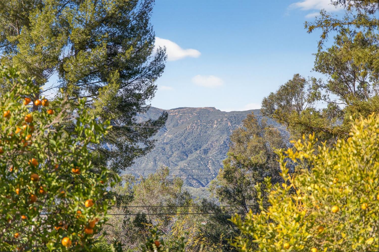 1918 Country Place Ojai, CA 93023 - Photo 36 of 36