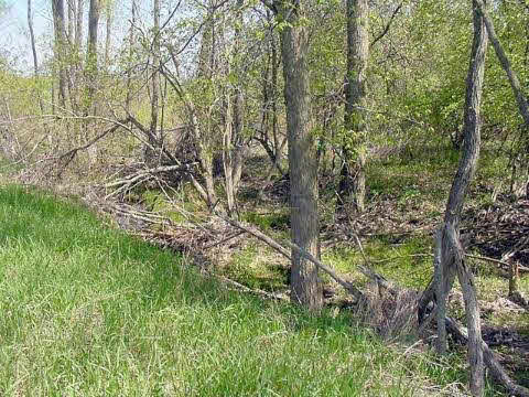 0 A And B Ridge Road Applegate, MI 48401 - Photo 12 of 17 909666-11.JPG