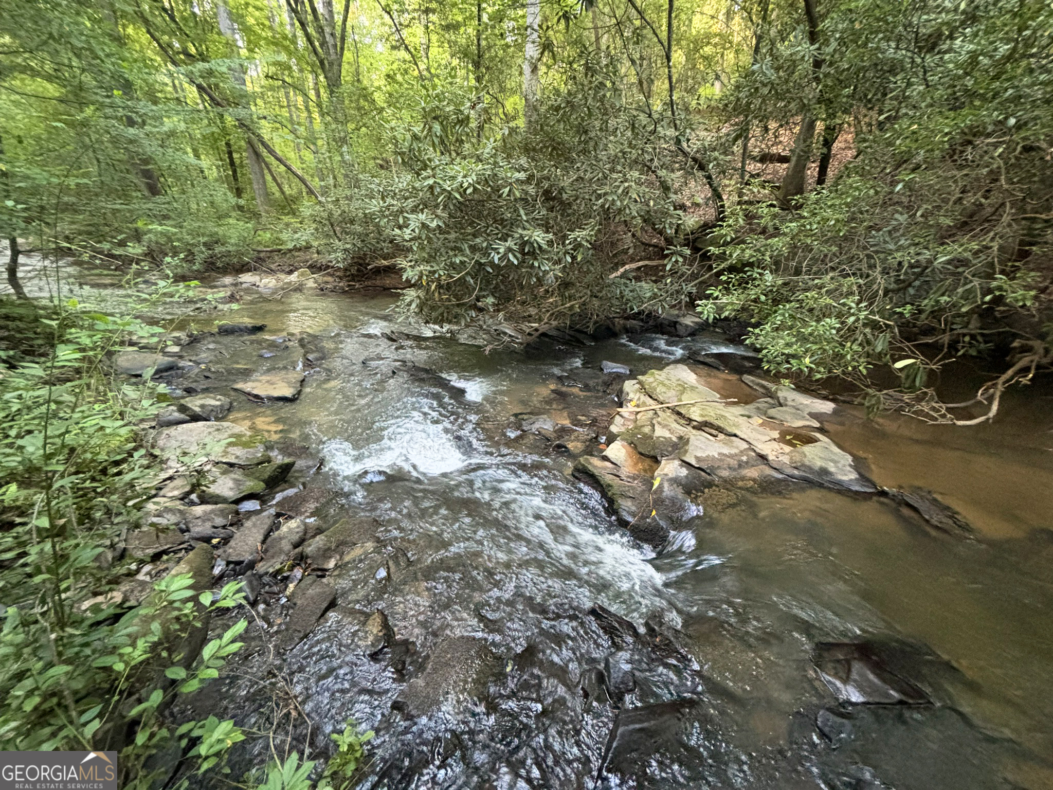 Lot 18 Mt Springer Road Ellijay, GA 30540 - Photo 18 of 31